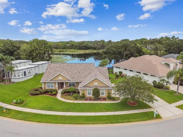 21243 Marsh Hawk Dr, Land O Lakes, FL 34638