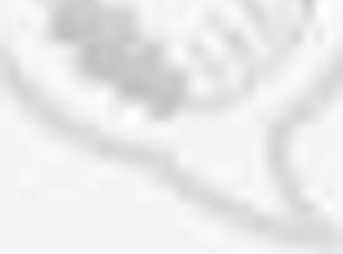 3336 Water Oak St, Fort Lauderdale, FL 33312