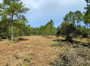 861 Tree Forest Ct, Pierson, FL 32180