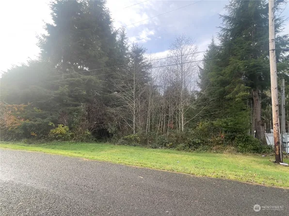 0 xxx Nelson Place, Copalis Beach, WA 98535