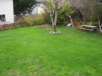 4th image of 2616 Roy Ave
