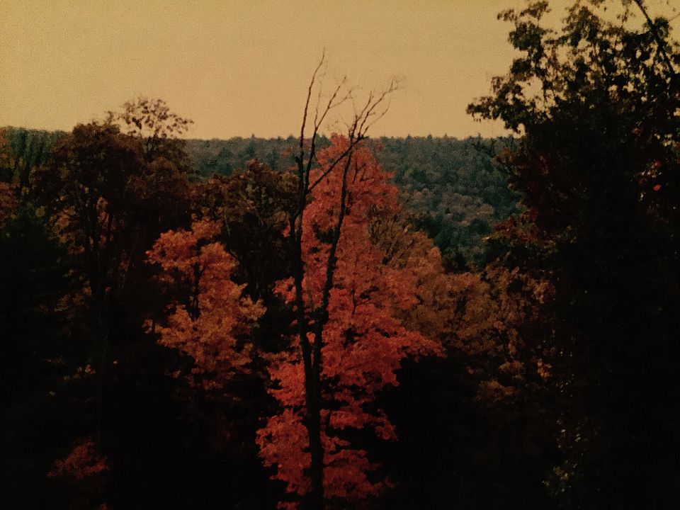 1st image of Rolling Hill Way