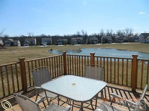 backyard4.JPG