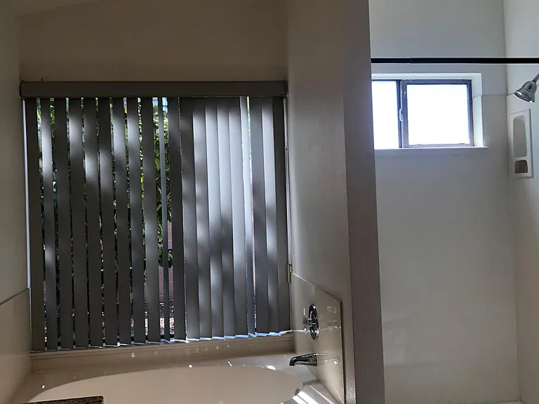 Master bathroom soaking tub and shower