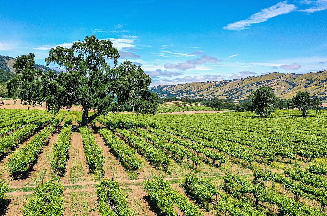 18820 Cachagua Rd, Carmel Valley, CA 93924 MLS ML81934640 Zillow