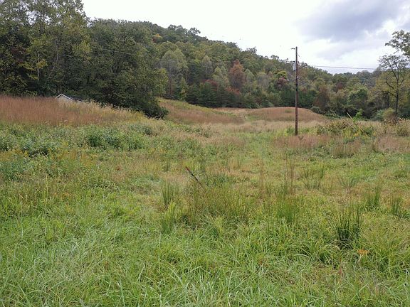 5th image of 198 Crawford Isom Rd