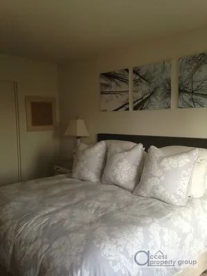 Rented by Access Property Group | media 33