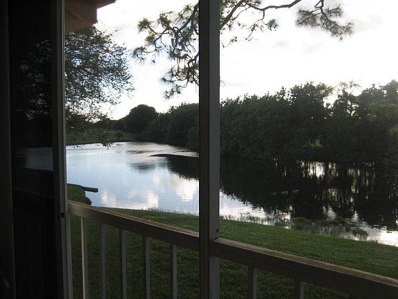 View From Florida Room