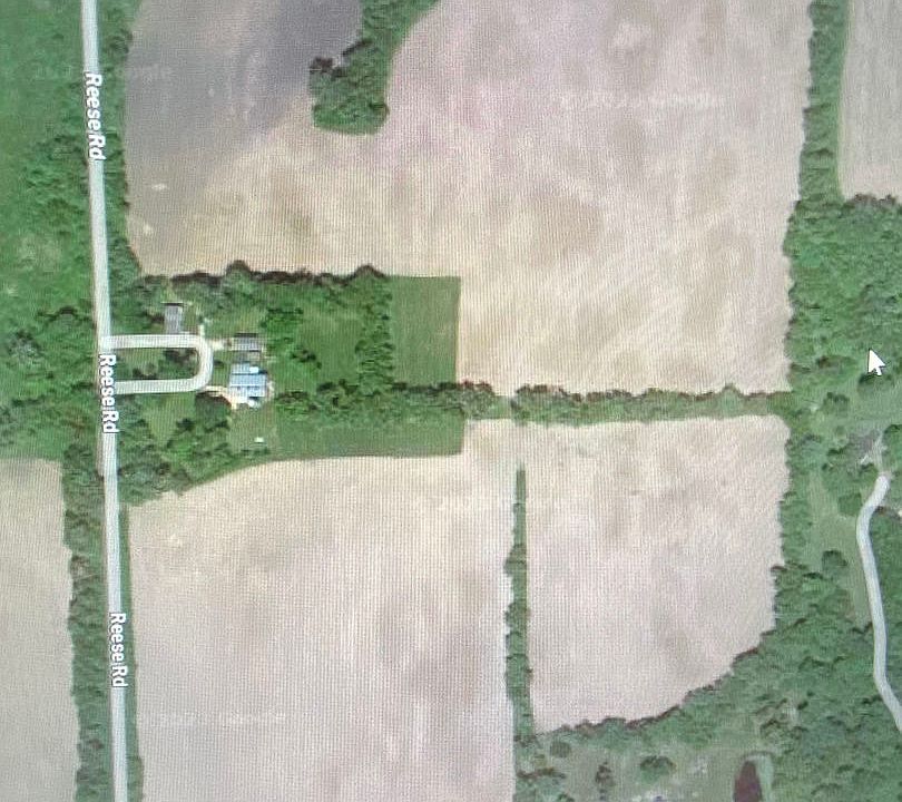 2nd image of 9302 Reese Rd