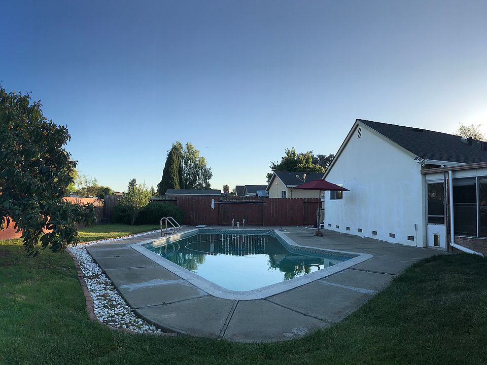 Backyard/Pool/Patio