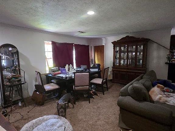 4th image of 397 Harrogate Springs Rd