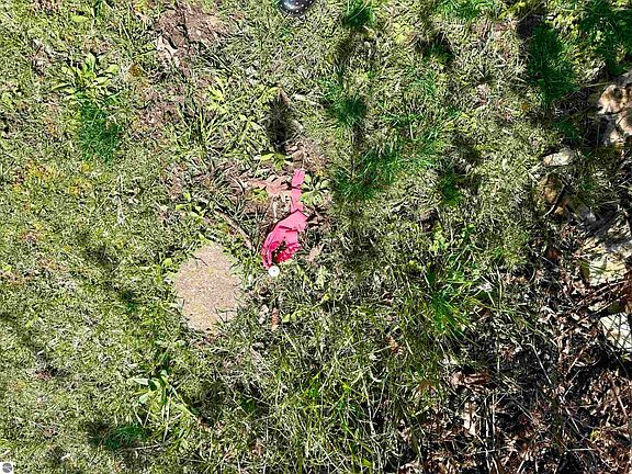 5th image of 11000 Riverside Dr