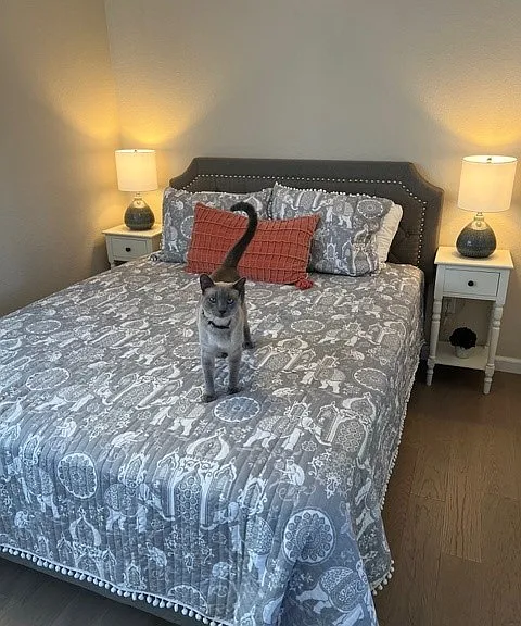 121 Paradise Dr — Photo 6