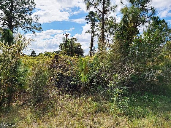 3rd image of 916 Ashley Oaks Dr
