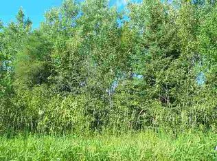 0 Tar Paper Aly, Pt Wing, WI 54865