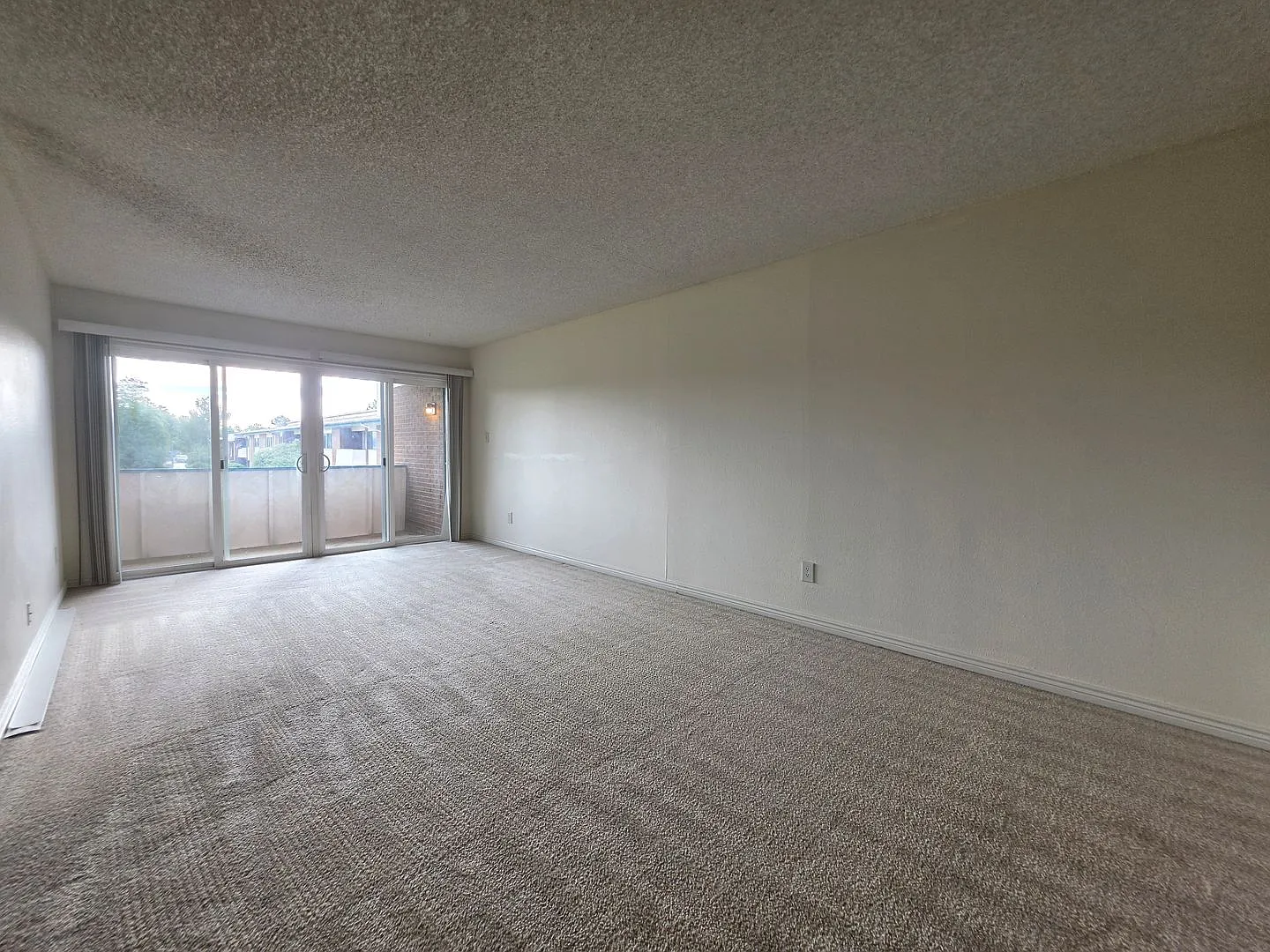 *Available Now* 3 Bedroom For Great Price In Gunbarrel *$1000 Deposit — Photo 4