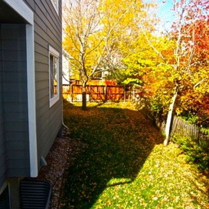 Fenced back yard
