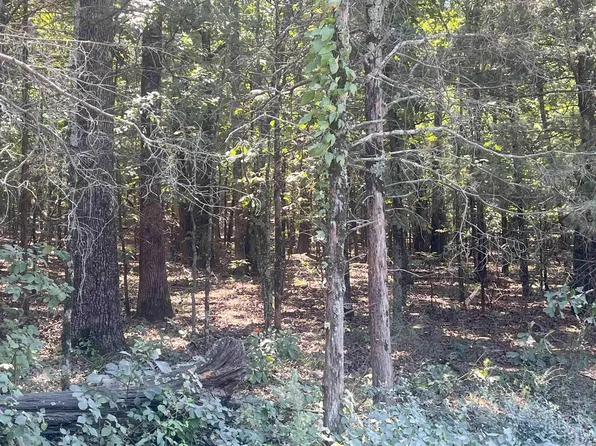 Sherman Rd, Morrilton, AR 72110