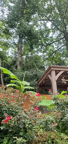 2210 Eagle Nest Blf Photo 1
