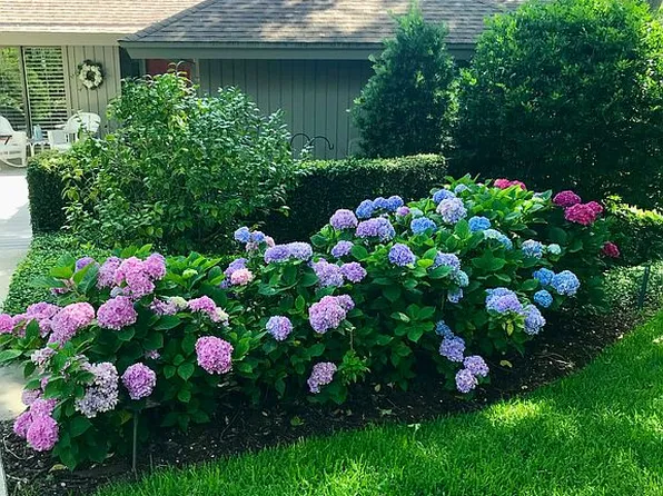 2411 Boxwood Ln, Fernandina Beach, FL 32034