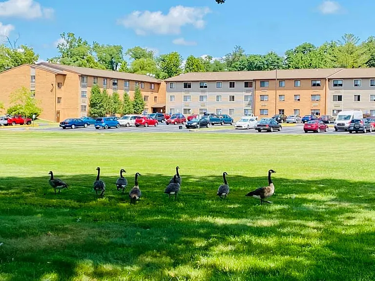 Maryvale Apartments — Photo 9