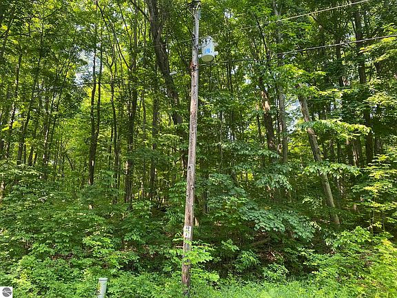 2nd image of LOT 71 Birch View Trl