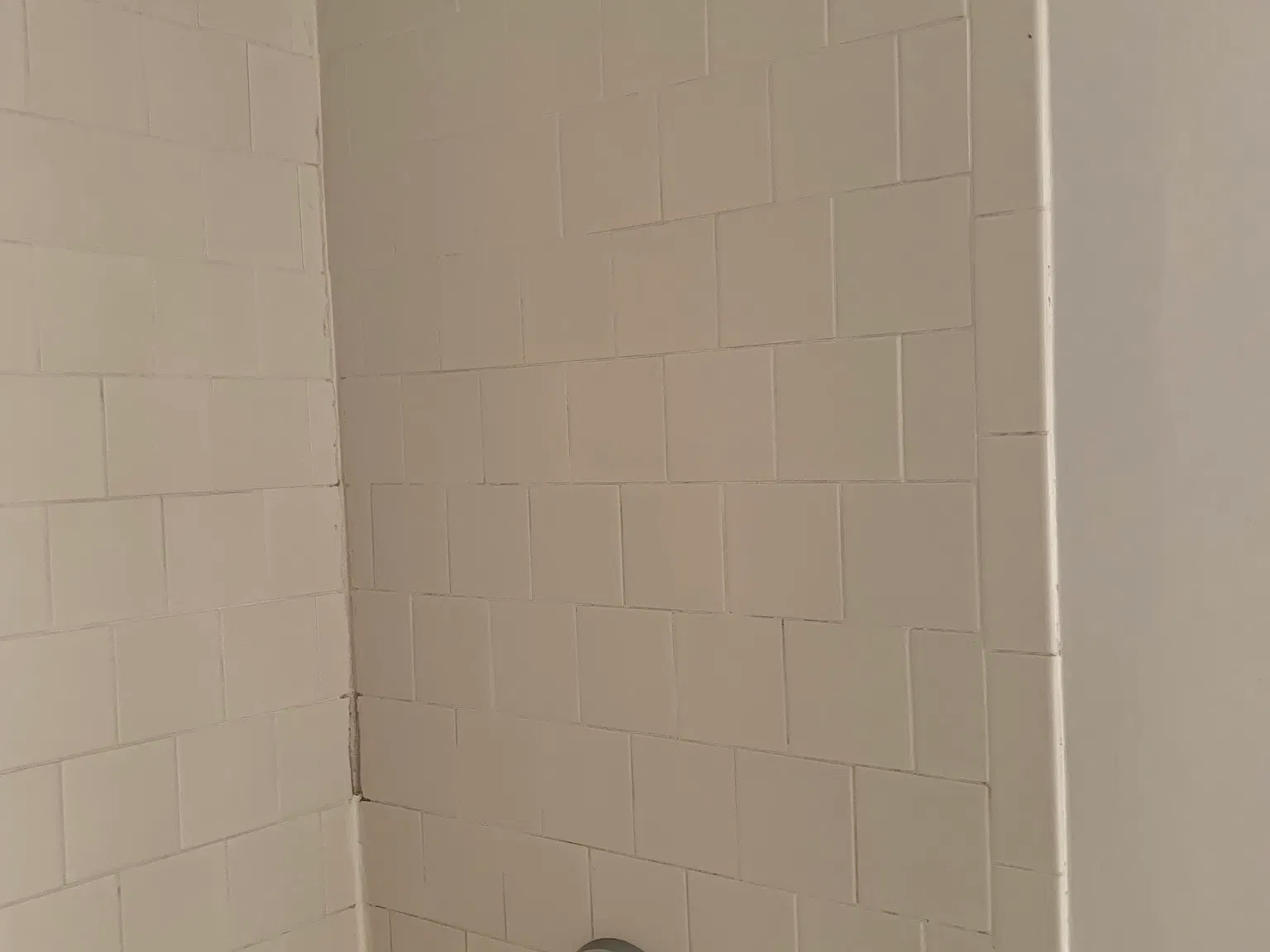 2 bed, $3,000 — Photo 4