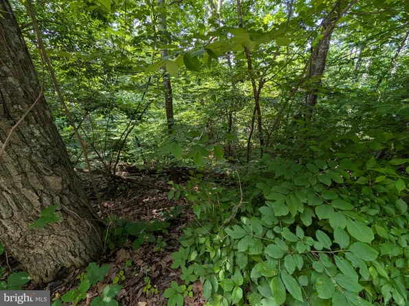 105 Summit Point Dr, Front Royal, VA 22630