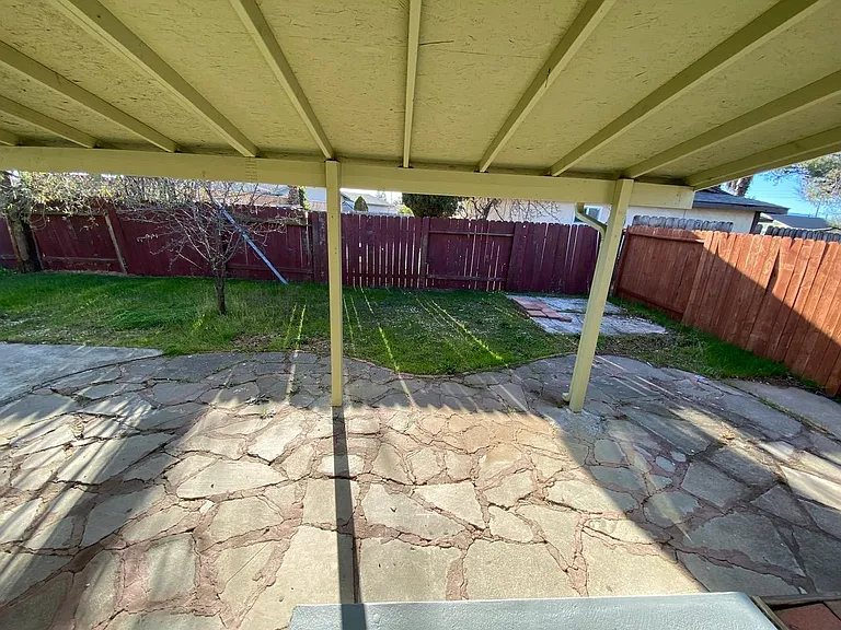 Back yard