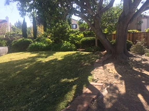 Backyard lawn area