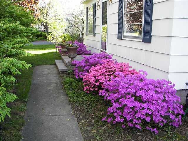 2nd image of 151 Evandale Rd