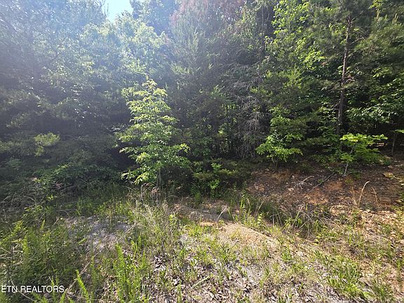 4th image of Ashley Dr