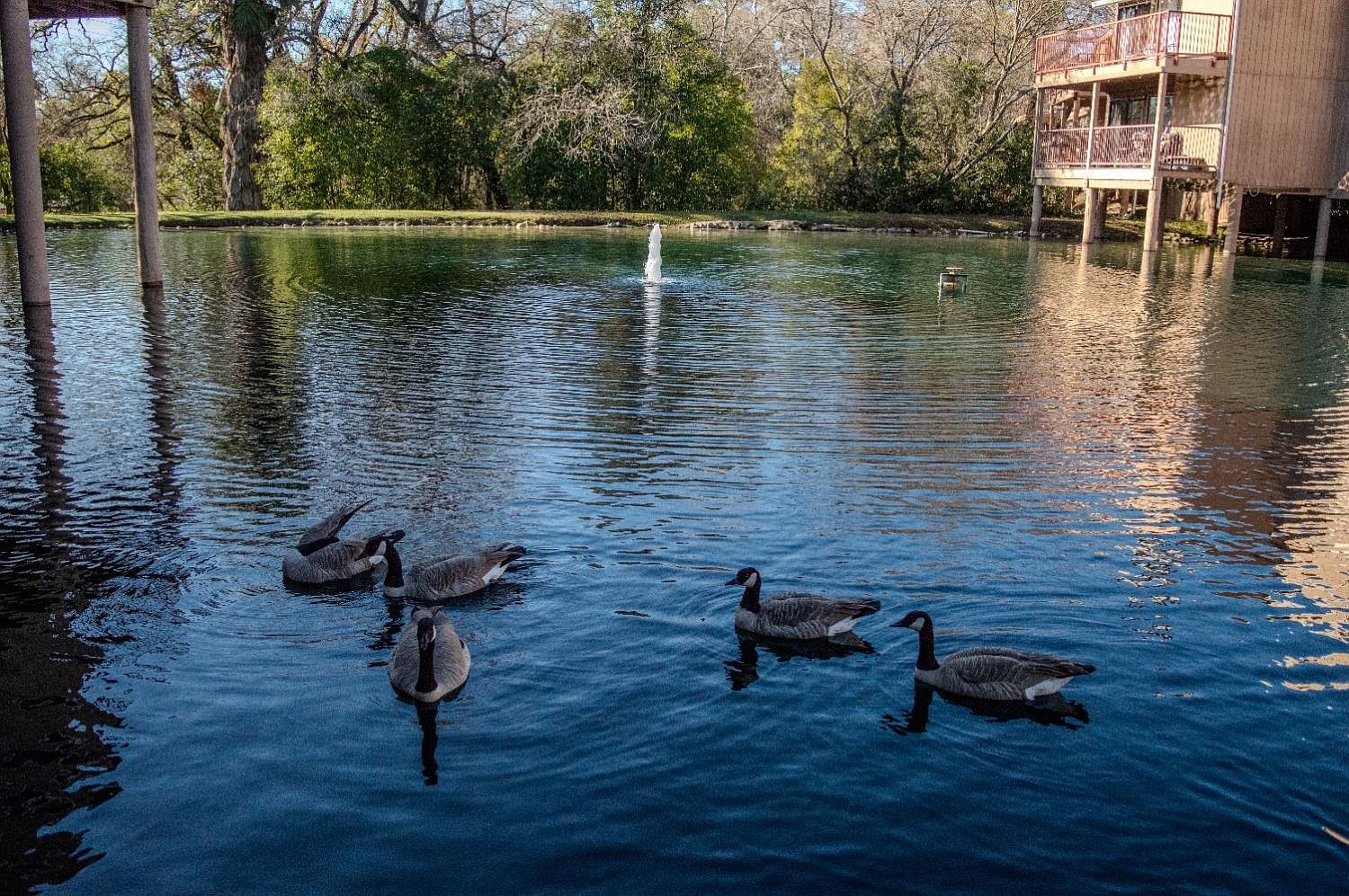 8040 Arcade Lake Ln, Citrus Heights, CA 95610 MLS 224002106 Zillow