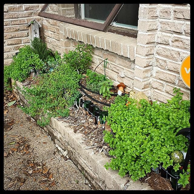 Front House Windowbox