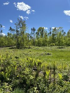 21 Turkey Lane Lane, Livermore, ME, 04253