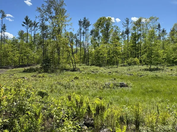 21 Turkey Lane Lane, Livermore, ME 04253