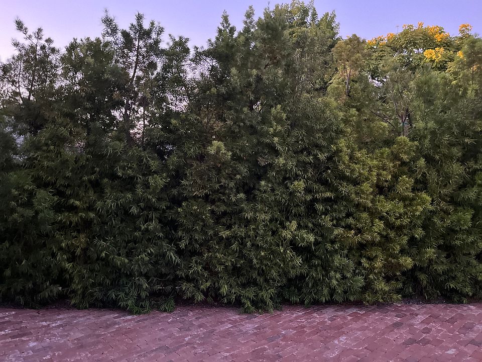 1st image of 832 Pacific St #1