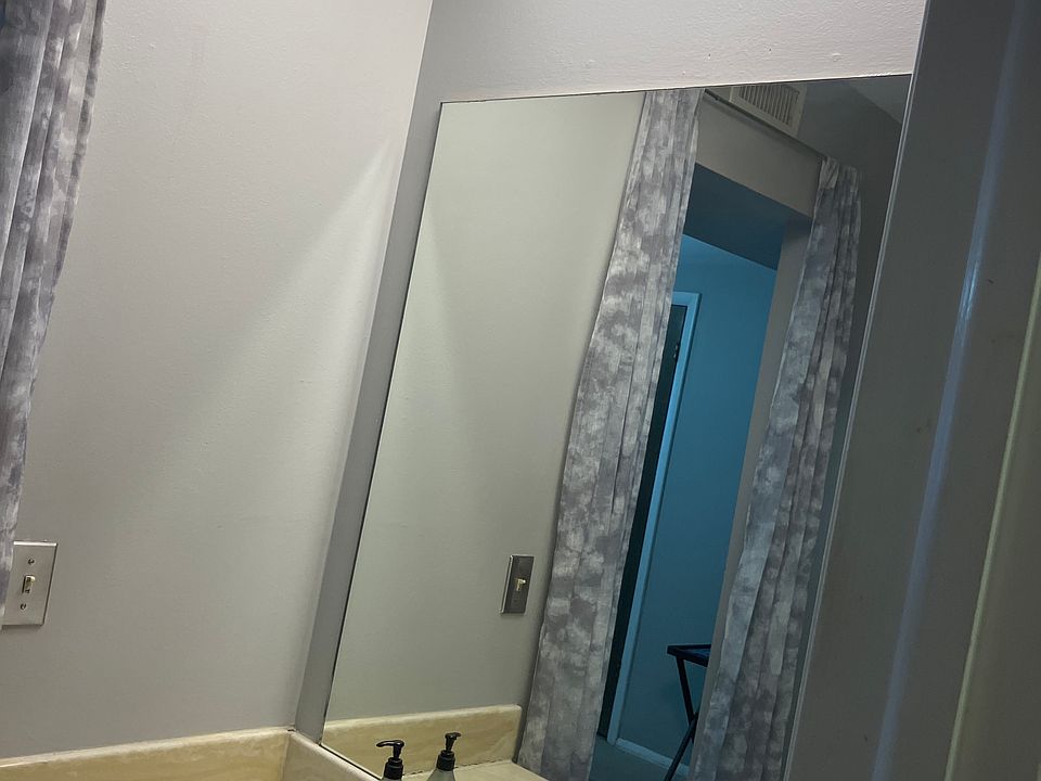Bathroom sink and large vanity and mirror