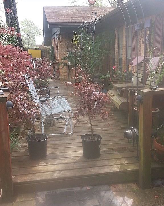 2nd image of 1337 Peppertree Ln