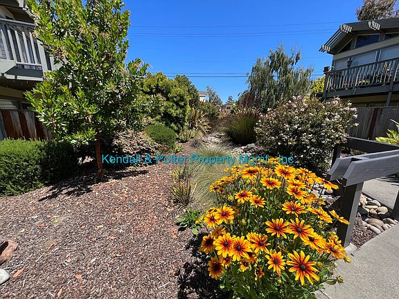 3rd image of 56-98 Seacliff Dr #80