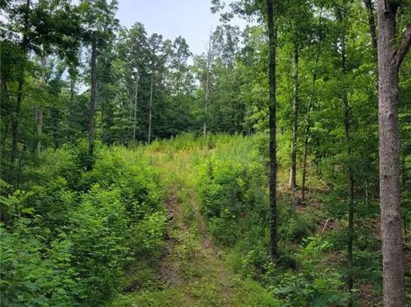951/95 Longbranch Dr #951952, Ranger, GA 30734