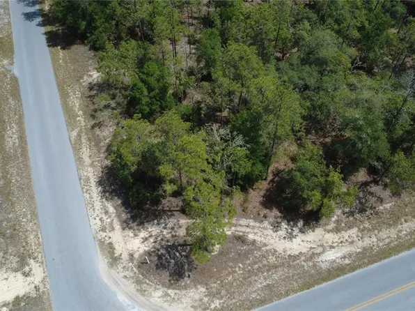 SW Rainbow Lakes Blvd Lot 39, Dunnellon, FL 34431