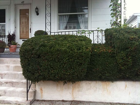 Retaining wall done 2011