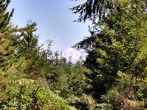 5th image of 17 Lake Cushman Forest Reserve