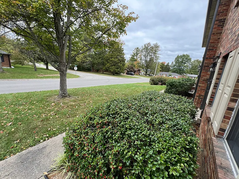 429 Westwood Dr #4 — Photo 3