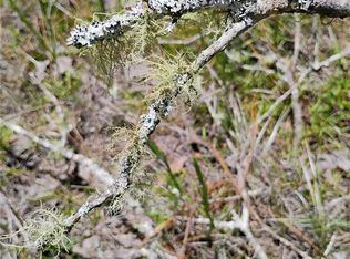 107 Rome St #17, Interlachen, FL 32148