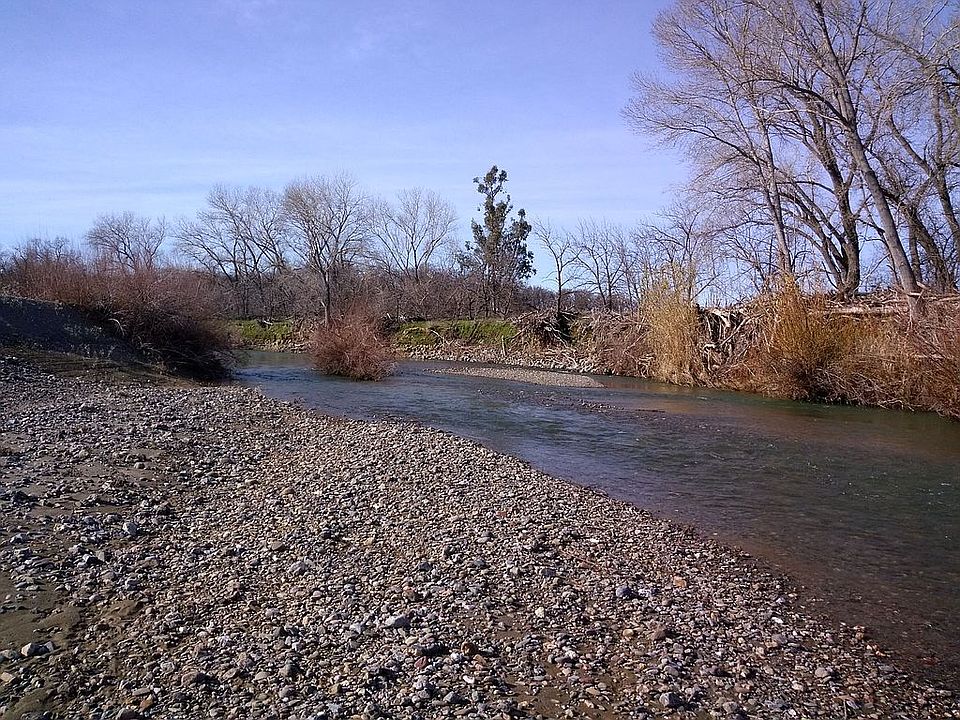 Cottonwood Creek, Fork.
