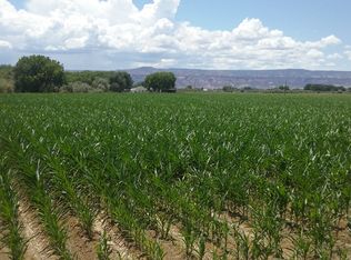 1290 20 Rd, Fruita, CO 81521