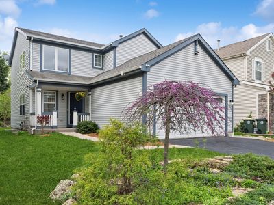 955 Blackburn Dr, Grayslake, IL, 60030