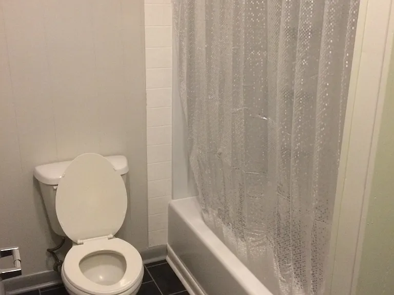 main bath toilet and combo tub/shower